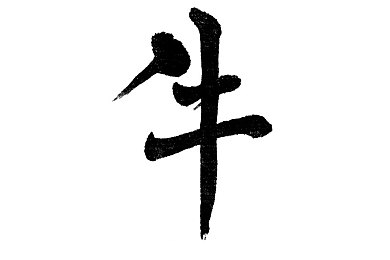 台北娜娜Taipei洗衣机,台北娜娜的奇幻洗衣之旅：揭秘都市背后的神秘面纱-2