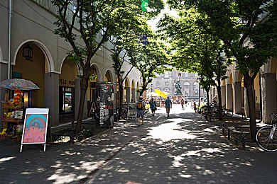 爱情岛论坛路线一路线京东天猫,社交与购物的神秘交织 揭秘爱情岛论坛的电商奇遇-4