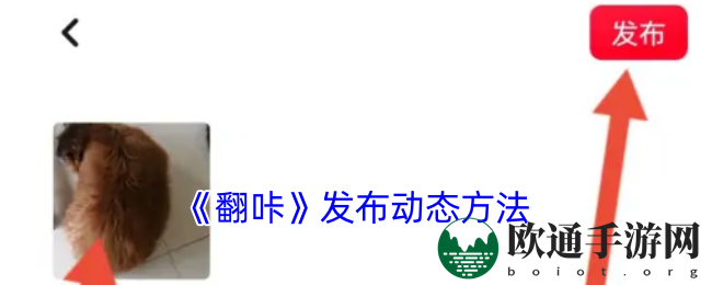 《翻咔》发布动态方法