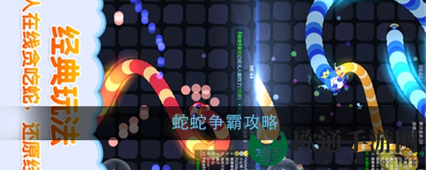 蛇蛇争霸攻略