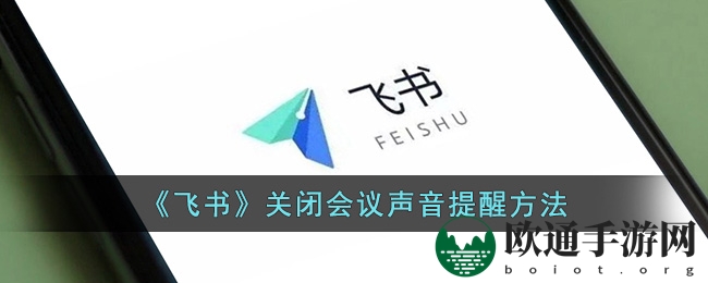《飞书》关闭会议声音提醒方法